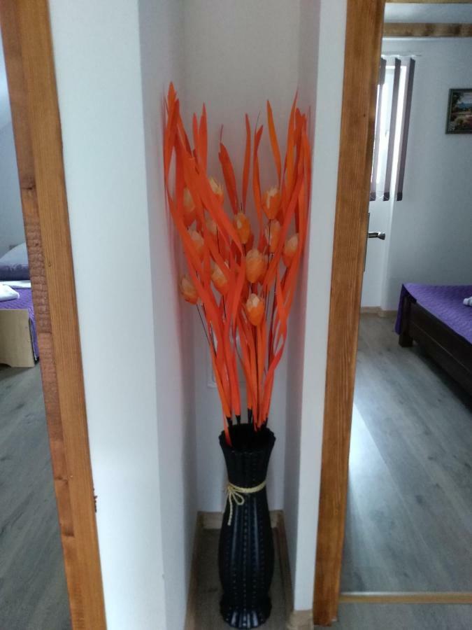 Apartman Nina Licko Petrovo Selo Zewnętrze zdjęcie